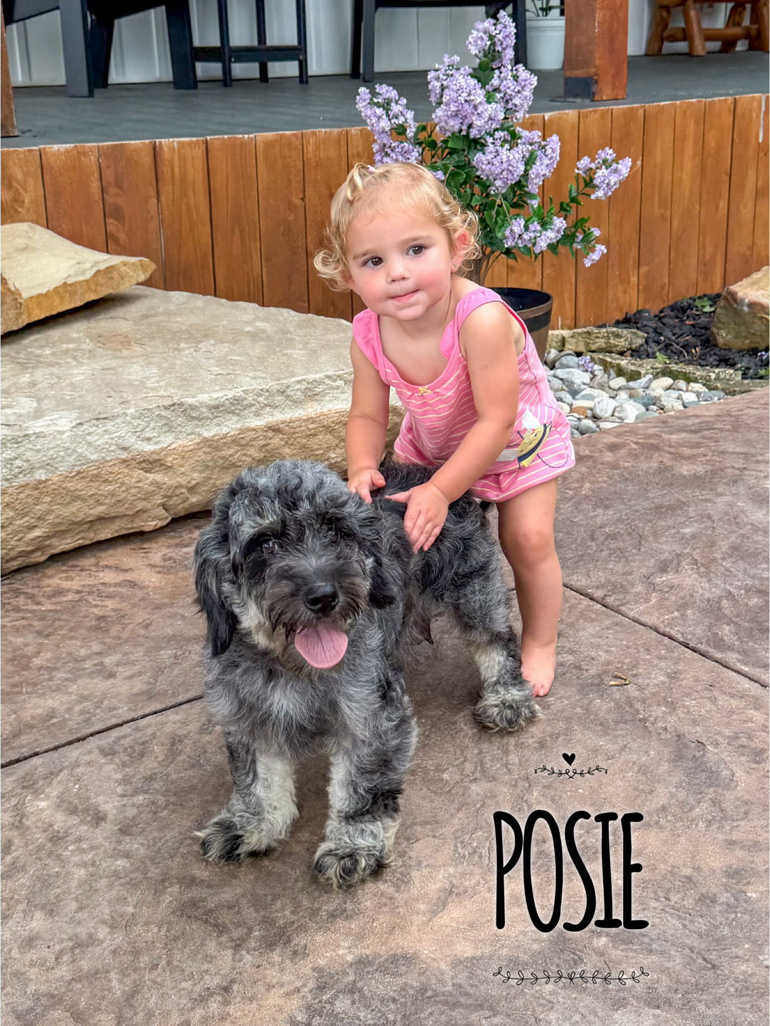 Posie 